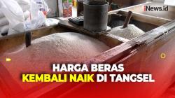 Jelang Idul Adha, Harga Beras Mulai Merangkak Naik di Tangsel