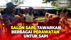 Salon Di Pasar Wage Pati, Tawarkan Berbagai Fasilitas Perawatan untuk Sapi