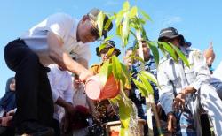 Canangkan Sulsel Menanam, Pj Gubernur Zudan Ajak Warga Tanam Pohon<