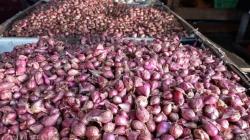 Jelang Idul Adha 2024, Harga Bahan Pangan di Pasar Tradisional Mentok Turun<