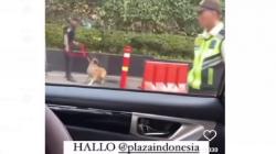 Plaza Indonesia Putus Kerja Sama dengan Vendor K9 Buntut Sekuriti Pukul Anjing Penjaga