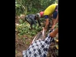 Kronologi Emak-Emak di Sidrap Dimangsa Piton 5 Meter, Sempat Dilaporkan Hilang