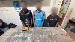 3 Pengedar Ganja Kelas Kakap Lintas Negara Ditangkap di Jayapura
