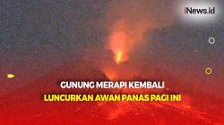 Erupsi Lagi, Gunung Merapi Luncurkan Awan Panas Sejauh 1.000 Meter 
