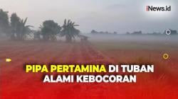 Ratusan Warga di Tuban Jatim Mengungsi Dampak Pipa Pertamina Bocor