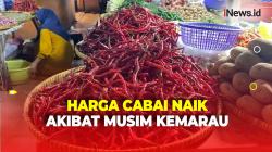 Harga Cabai di Pasar Tomang Barat Melambung, Pembeli Kurangi Jumlah Belanja