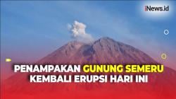 Gunung Semeru Kembali Erupsi Hari Ini, Lontarkan Kolom Asap Letusan Mencapai 900 Meter