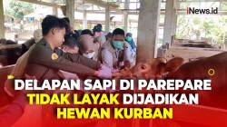 Pemkot Parepare Temukan Delapan Sapi Tak Layak Kurban Ditemukan Jelang Iduladha