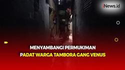 Tak Tersentuh Sinar Matahari, Intip Permukiman Padat Warga Tambora Gang Venus 