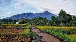3 Jalur Alternatif ke Purwakarta yang Wajib Diketahui Pengendara agar Terhindar dari Macet Parah<
