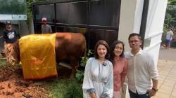 Dewi Perssik Potong Hewan Kurban di Rumah untuk Pertama Kali, Pembagian Daging Diserahkan ke Warga