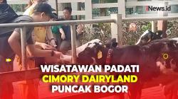Libur Iduladha, Tempat Wisata di Puncak Bogor Ini Diserbu Pengunjung