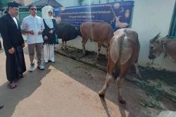 Penyaluran Bantuan Hewan Kurban Idul Adha 1445 H