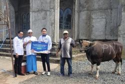 Rayakan Idul Adha 2024, PNM Salurkan Hewan Kurban di Daerah Tertinggal