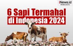 Infografis Deretan Sapi Termahal di Indonesia 2024