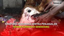 Sejarah Kampung Bustaman, Sentra Penjagalan Hewan Kurban di Semarang