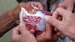 Heboh Penampakan Lafaz Allah dalam Potongan Daging Kurban di Palembang, Warganet Geger