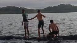 Viral Paus Raksasa Muncul di Perairan Misool Raja Ampat, Main dengan Para Pemuda di Laut