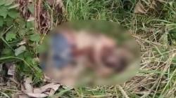 Kasus Mayat Terikat Tali, Korban Dibunuh di Bangka Barat lalu Jasadnya Dibuang ke Sumsel