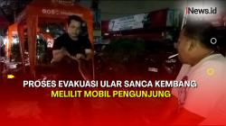 Ngeri! Ular Sepanjang 3 Meter Melilit Mobil Pengunjung di Parkiran PRJ Kemayoran 
