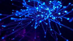 SKKL SMPC Sering Gangguan, Pelaku Usaha Diminta Lebih Perhatikan Rute Kabel Laut