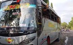 Bus Tabrak Truk di Jembatan Suramadu Bangkalan, Sejumlah Penumpang Luka-Luka<