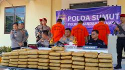 Polisi Tangkap 3 Kurir Narkoba di Madina, Bawa Ganja 100 Kg Menuju Sumbar<