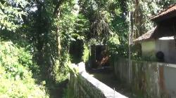 TKP Ratusan WNA Ditangkap di Bali, Vila Hati Indah Lokasi Tersembunyi<