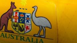 3 Pemain Australia U-16 yang Wajib Diwaspadai oleh Timnas Indonesia di Piala AFF U-16 2024, Ada Gelandang Brisbane Roar 