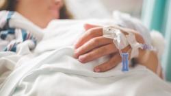 Mengenal Virus West Nile, Bisakah Menular antar Manusia?