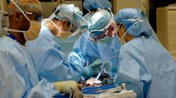 7 Artis Jalani Oplas, Nomor 1 Rela Operasi Potong Leher untuk Hilangkan Jakun