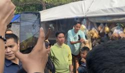 Gibran Blusukan ke Permukiman Warga di Jakarta, Ada Apa?