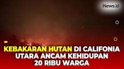 2 Ribu Hektar Lahan Hutan di California Utara Terbakar