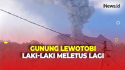 Gunung Lewotobi Laki-Laki Meletus Lagi, Kolom Abu Letusan Capai 900 Meter