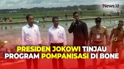 Semangati Petani, Presiden Jokowi Tinjau Program Pompanisasi di Bone