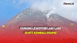 Gunung Lewotobi Laki-Laki Erupsi Disertai Hujan Pasir, Muntahkan Abu Setinggi 1.000 Meter 