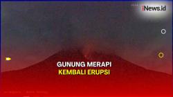 Gunung Merapi Kembali Erupsi, Luncurkan Awan Panas Sejauh 1.600 Meter 