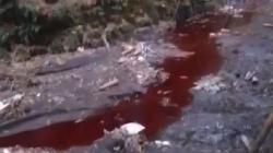 Terungkap, Ini Dugaan Penyebab Air Sungai Berubah Warna Merah seperti Darah di Malang<