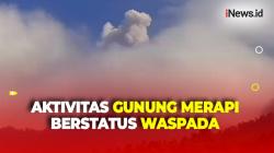 Gunung Merapi Luncurkan Awan Panas Guguran dengan Jarak Luncur 1,3 Km, Statusnya Masih Waspada