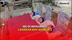 Bayi Kembar 5 di Indramayu Tak Terdeteksi saat Kehamilan 