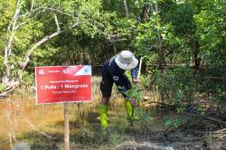 Program Plan & Plant Tanam Tanam 10.000 Pohon Mangrove