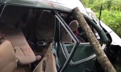 Rem Blong Diduga Penyebab Avanza Masuk Jurang di Mojokerto Tewaskan 2 Orang