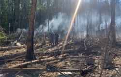 Penampakan Pesawat Sukhoi Superjet 100 Rusia yang Jatuh di Hutan, Hancur Berkeping-keping