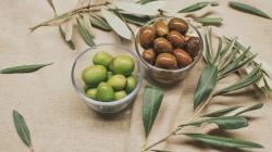 Mengenal Manfaat Ekstrak Buah Zaitun untuk Tangkal Radikal Bebas