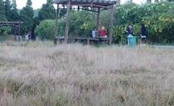 Embun Beku 3 Hari Berturut-Turut Selimuti Candi Arjuno Dieng, Jadi Daya Tarik Wisatawan<