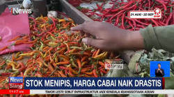 Kemarau Panjang, Harga Cabai Merangkak Naik di Pasaran