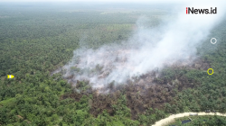 Lokasi Sulit Dijangkau, 3 Helikopter Diterjunkan Padamkan Karhutla di Siak