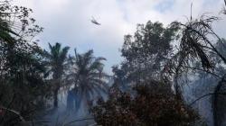3 Helikopter Dikerahkan Padamkan Kebakaran Hutan dan Lahan Seluas 5 Hektare di Siak<