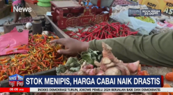 Stok Petani Minim, Harga Cabai di Tuban Naik Drastis