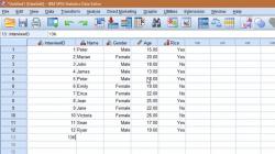 Cara Download SPSS di Laptop: Panduan Lengkap dan Mudah!
